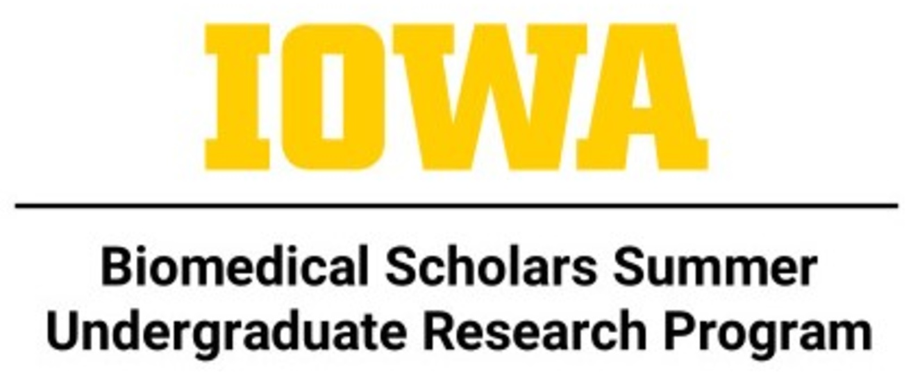 Biomedical-Scholars-Summer-Undergraduate-Research-Program-LockupStacked-RGB.jpg