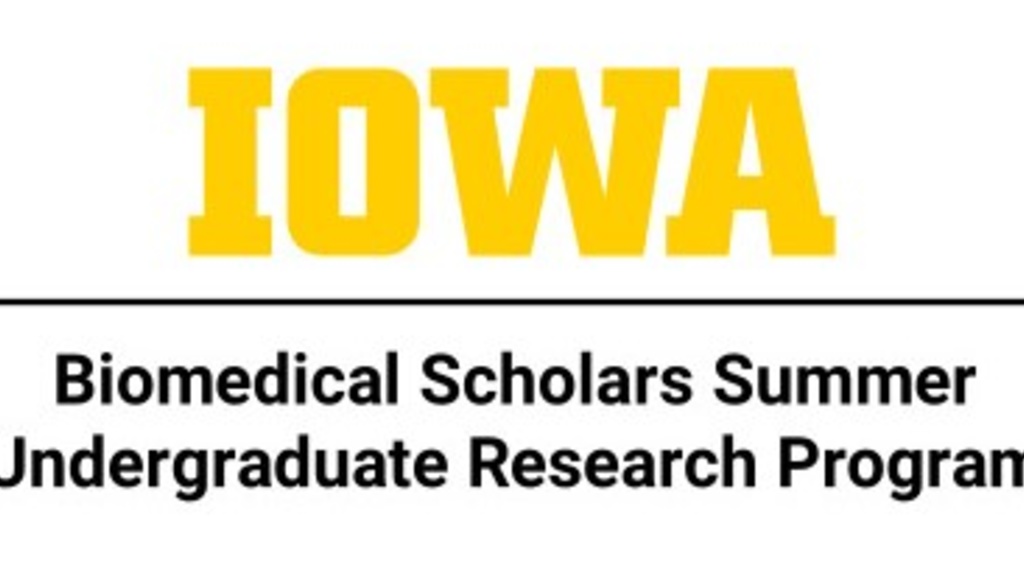 Biomedical-Scholars-Summer-Undergraduate-Research-Program-LockupStacked-RGB.jpg